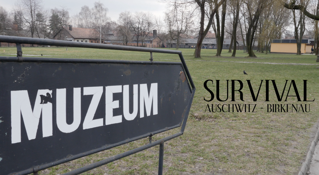 Survival – Auschwitz / Birkenau